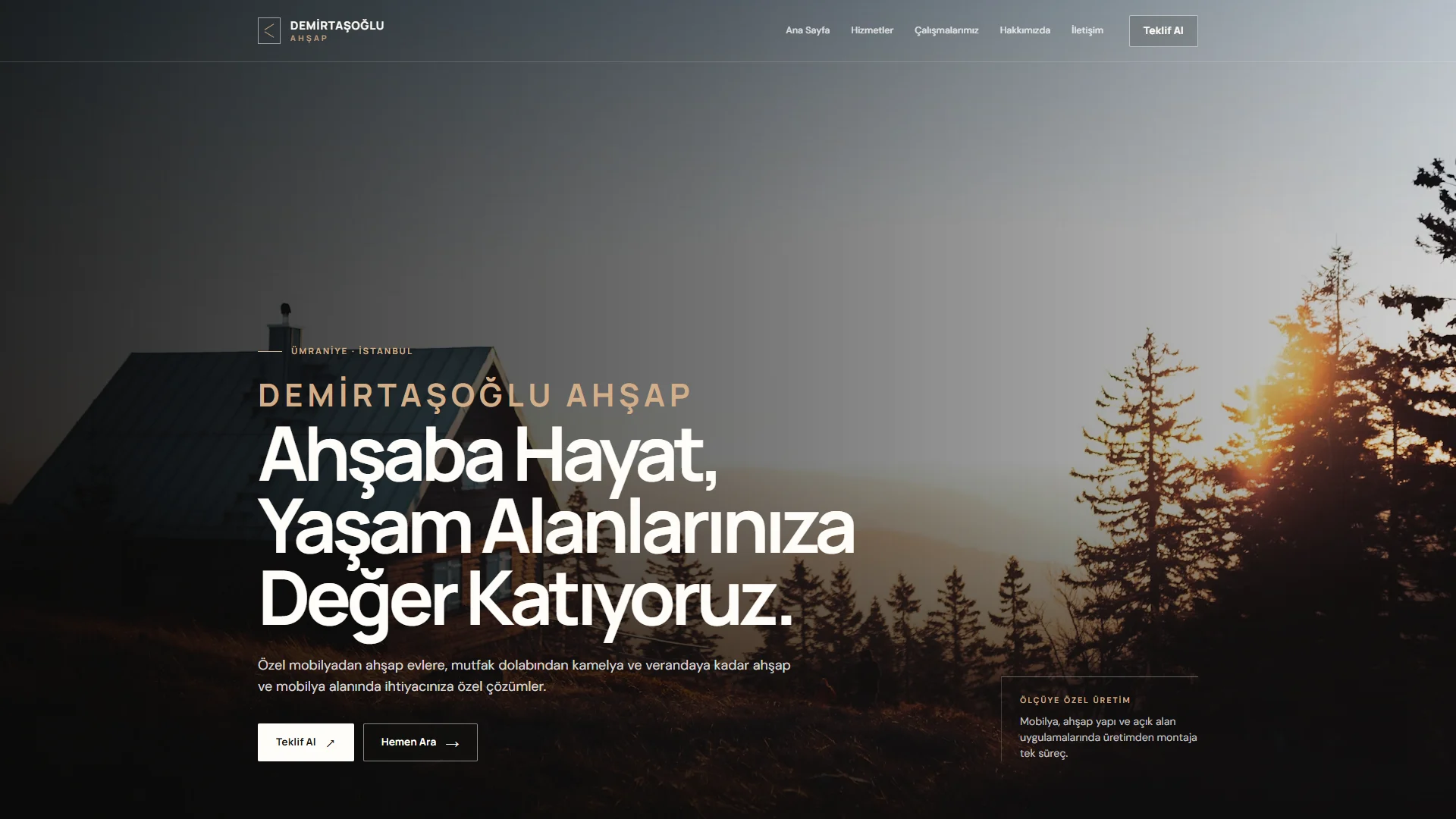 Demirtaşoğlu Ahşap website